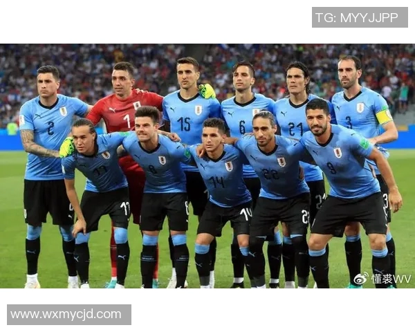 2017年巴西与乌拉圭激战回顾：足球盛宴中的精彩瞬间与战术较量