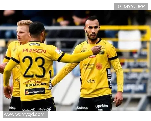 特雷勒堡与埃尔夫的激烈对决揭示了球队实力与战术的较量 特雷勒堡与埃尔夫的激烈对决揭示了球队实力与战术的较量