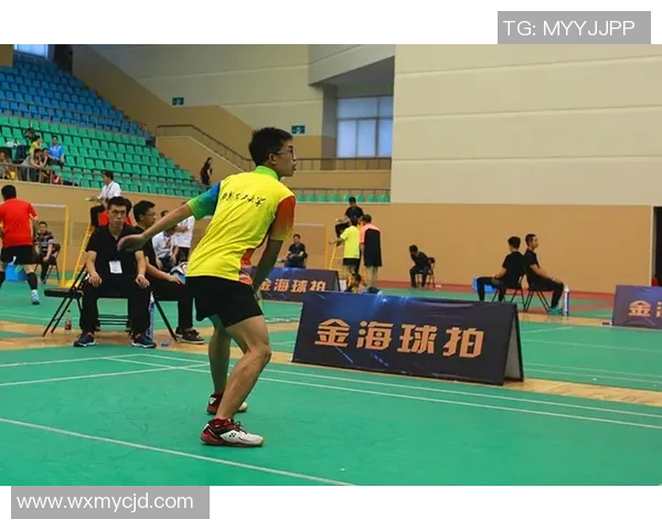 西安羽毛球队配合策略分析与实战应用探讨