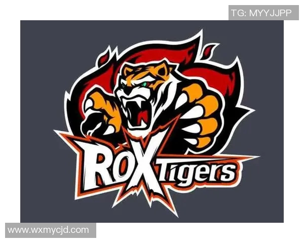 LNG战队在英雄联盟赛季中的运营策略与成败分析