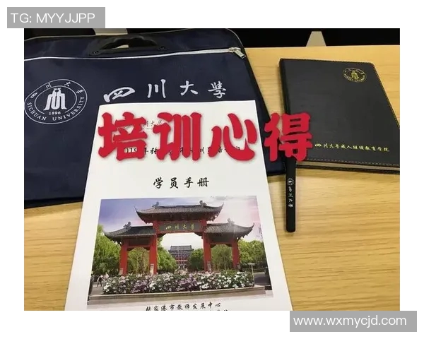 上海羽毛球队防反策略分析与比赛表现的深度探讨