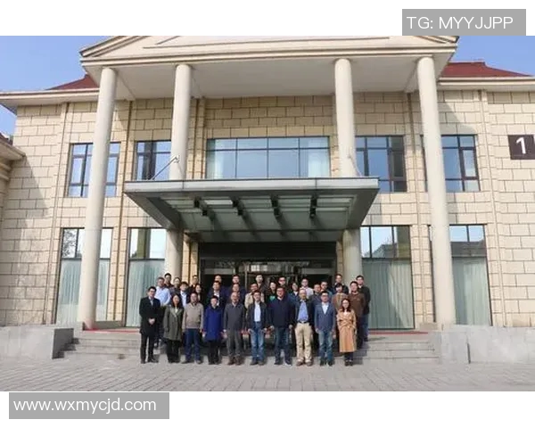 深圳羽毛球队转型之路：得失之间的深刻反思与未来展望