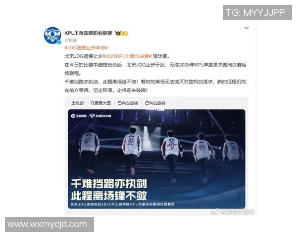 聚焦王者荣耀：探讨JDG选手个人能力与团队协作的完美结合